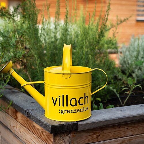 Gelbe Villach Gießskanne am Hochbeet
