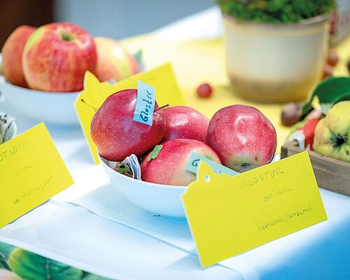 October in Villach Different apple varieties at the Orchard Festival