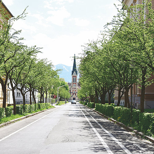 Allee mit Kirche im Hintergrund