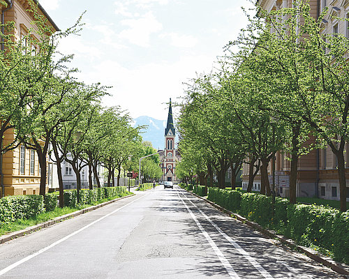 Allee mit Kirche im Hintergrund