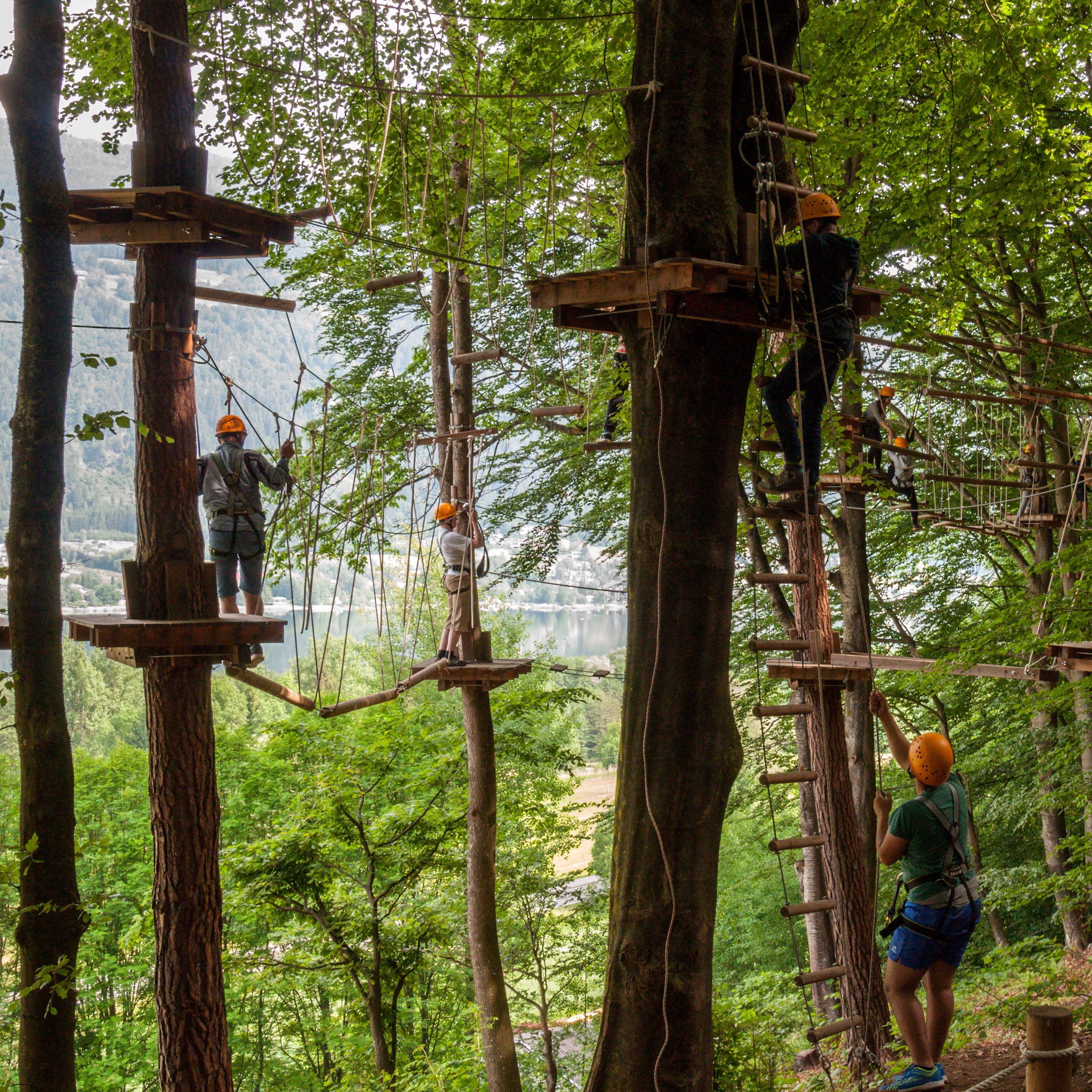 Eine Familie beim klettern im Hochseilgarten