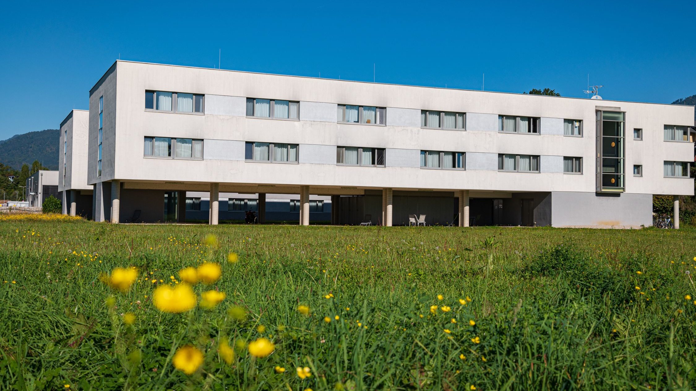 Studentenwohnheim mit Blumenwiese