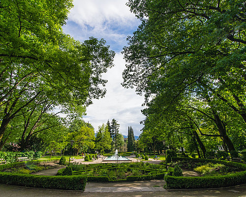 Green park with a fountain