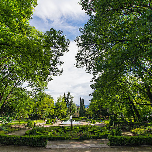 Green park with a fountain