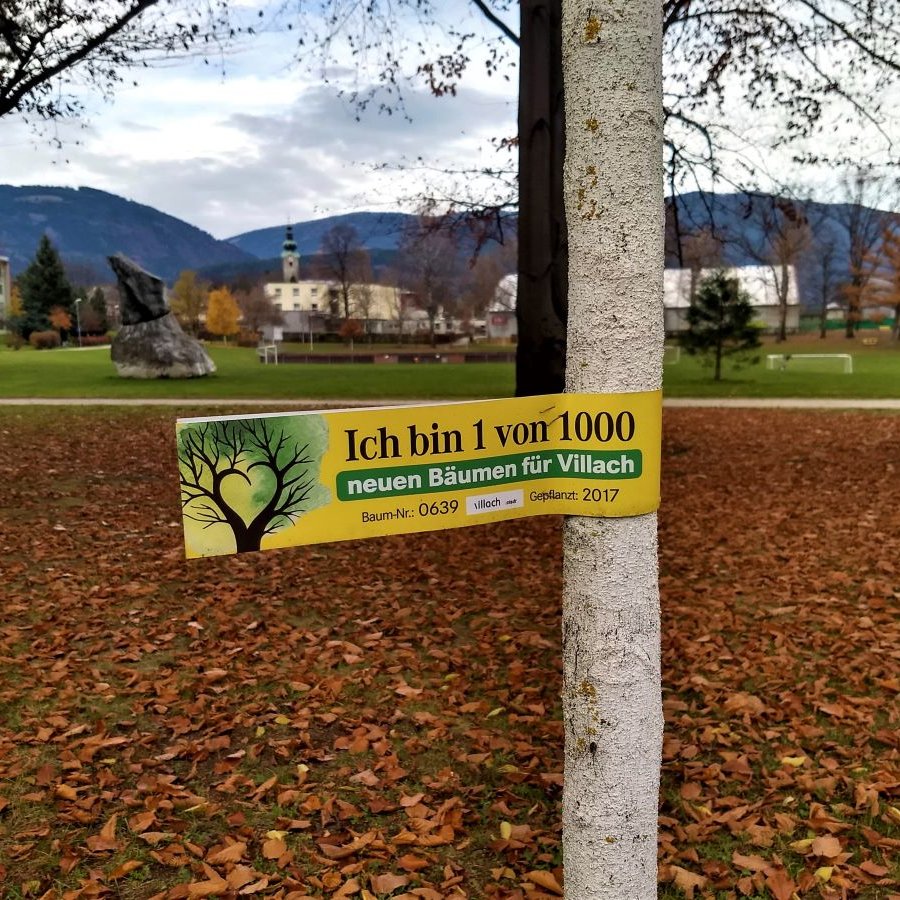 New trees in Villach's parks