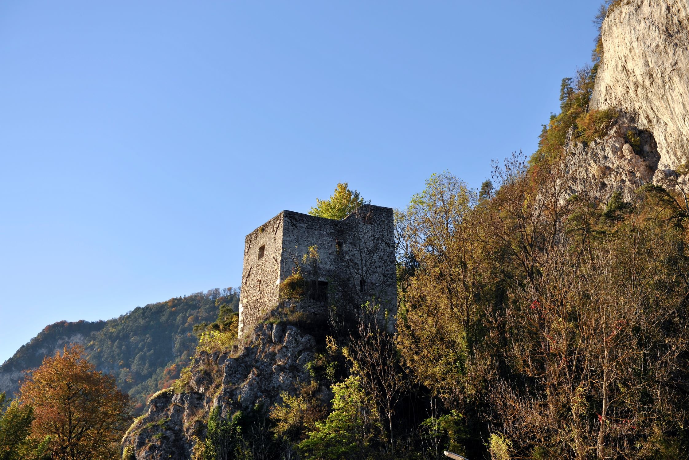 Der Turm der Burgruine Federaun