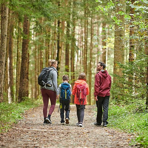 Familie wandert durch den Drachenwald