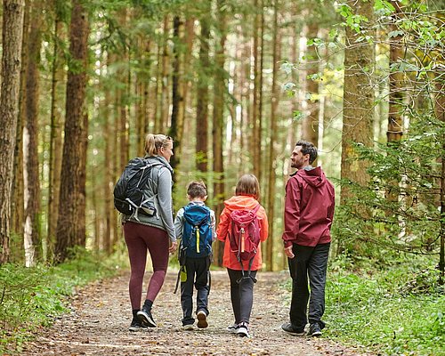 Familie wandert durch den Drachenwald