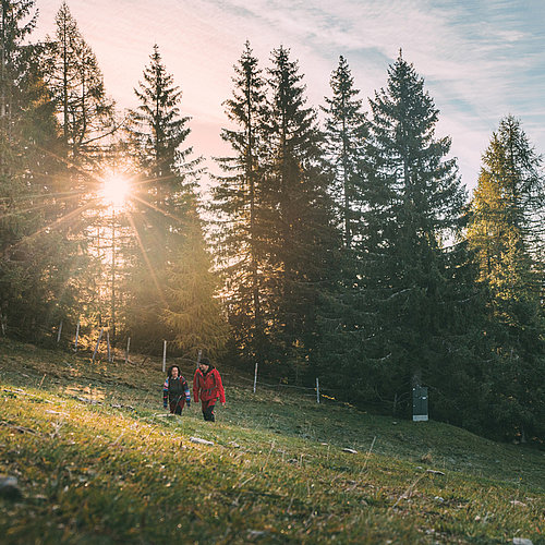 Hiking in the beautiful nature of Villach at earth day