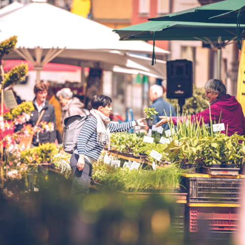 Verkaufsgespräch an einem Stand am Villacher Blumenmarkt