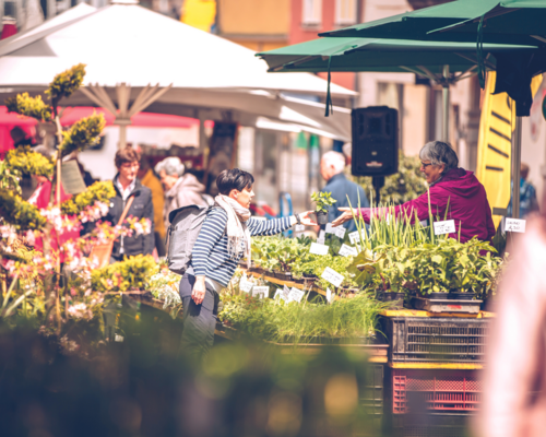 Verkaufsgespräch an einem Stand am Villacher Blumenmarkt