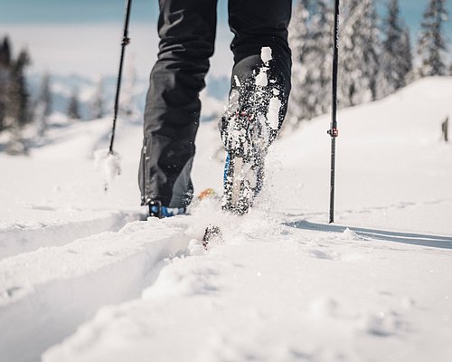 Details of ski touring equipment