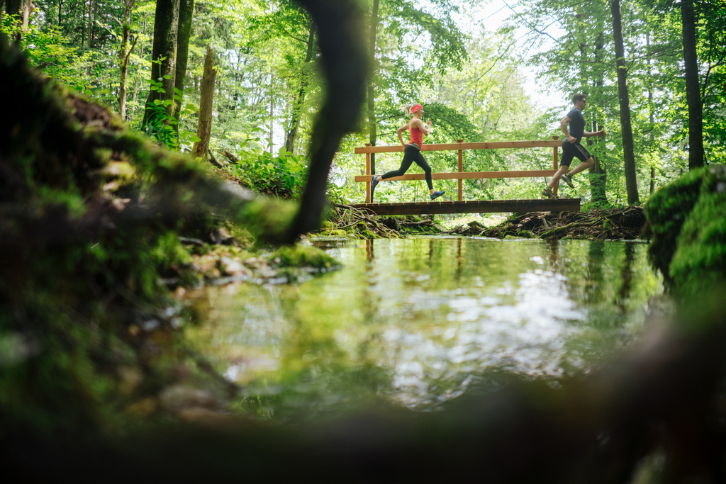 Running in the forest in the Warmbad sport area