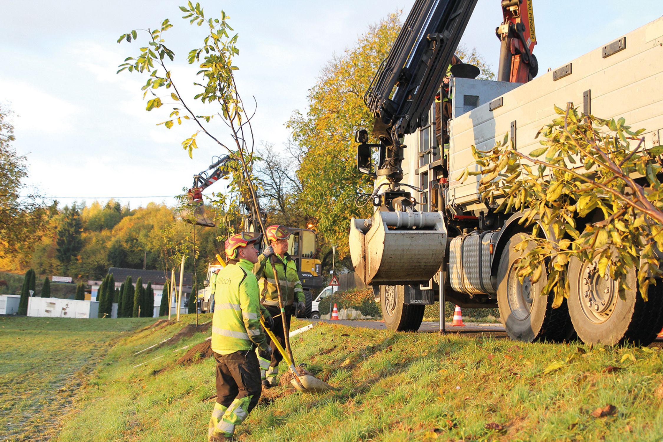 Neue Bäume werden gepflanzt