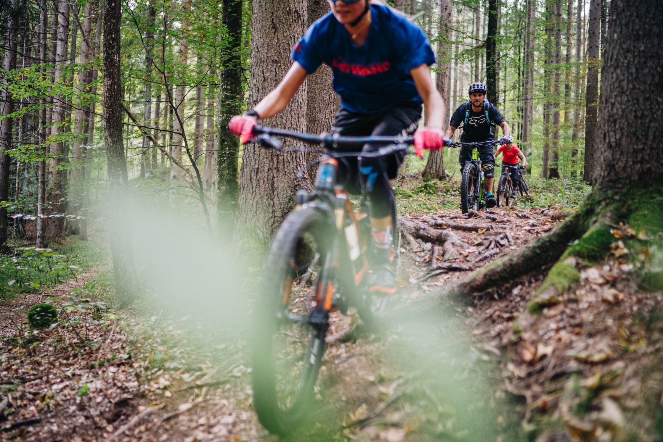 Mountainbikers fahren durch den Wald