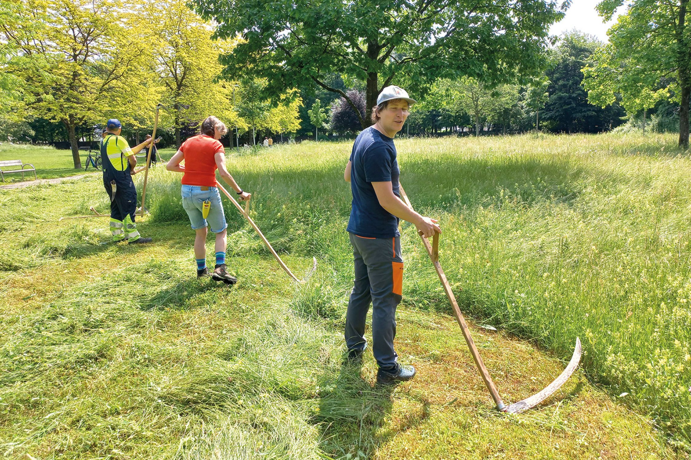 Mowing with a scythe