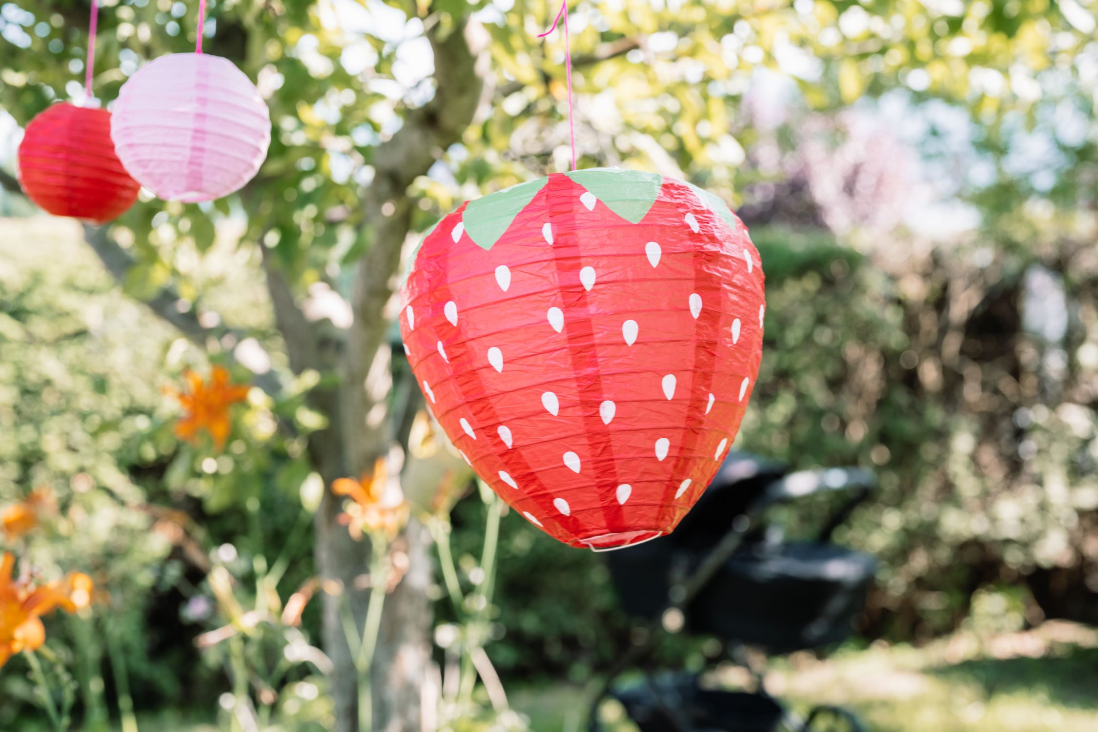 Party decorations Lanterns in the garden