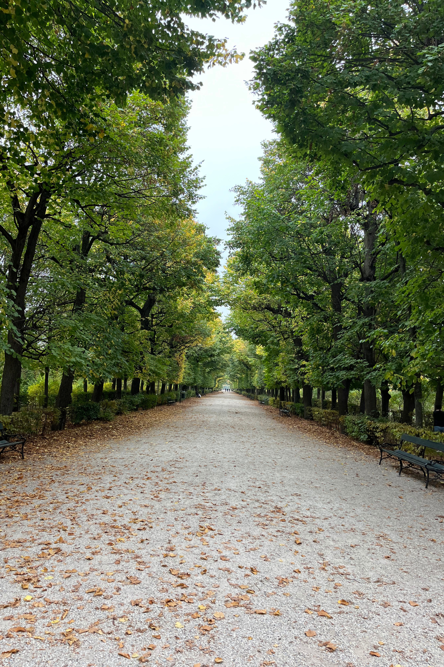 The Praterallee in Vienna