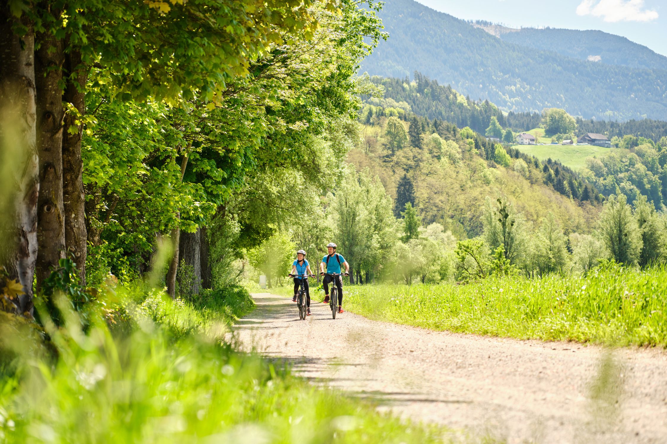 Biking in the nature