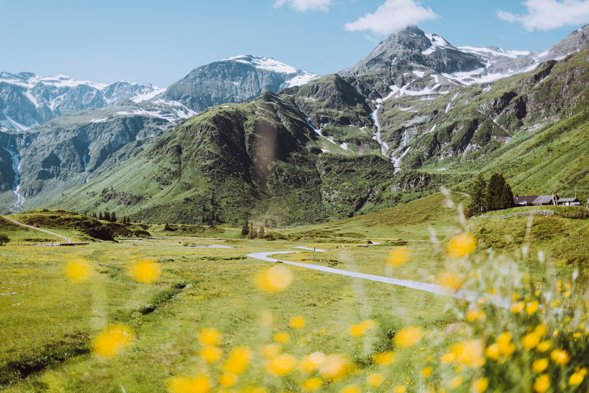 Idyllic Gastein Valley with flowers and scenic mountains