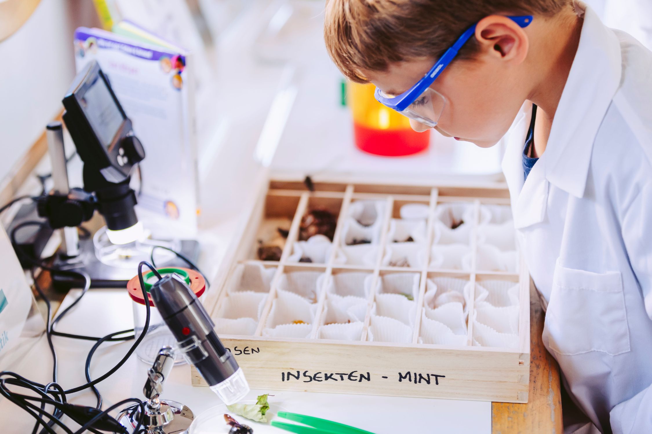Kind lernt über Insekten im Mini Educational Lab