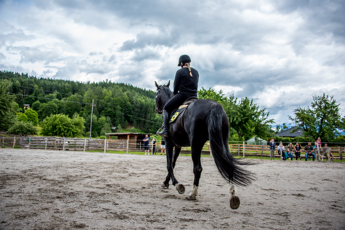 Equestrian with horse 