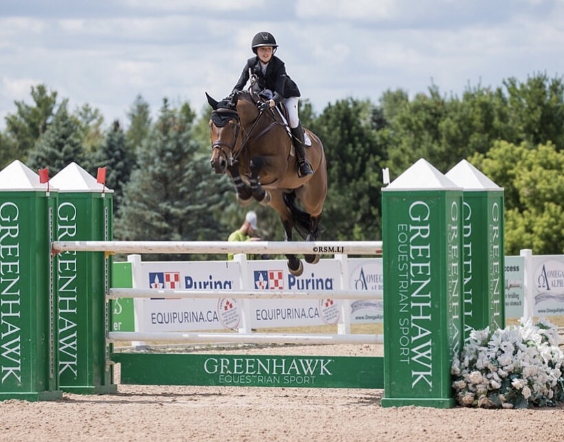 Horse jumps over a jump