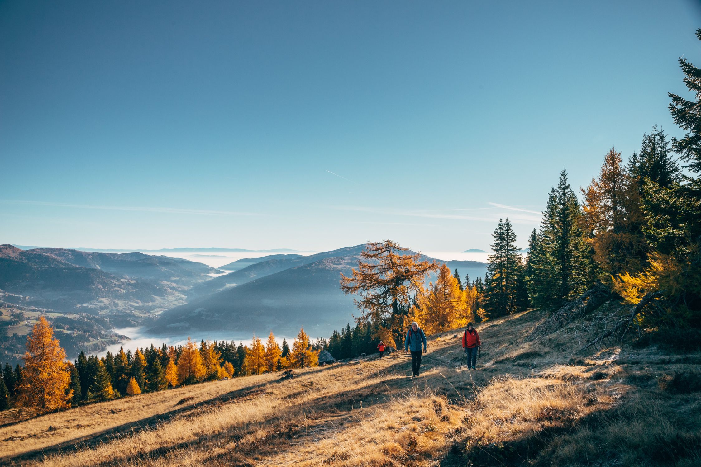 Autumn mountain landscape