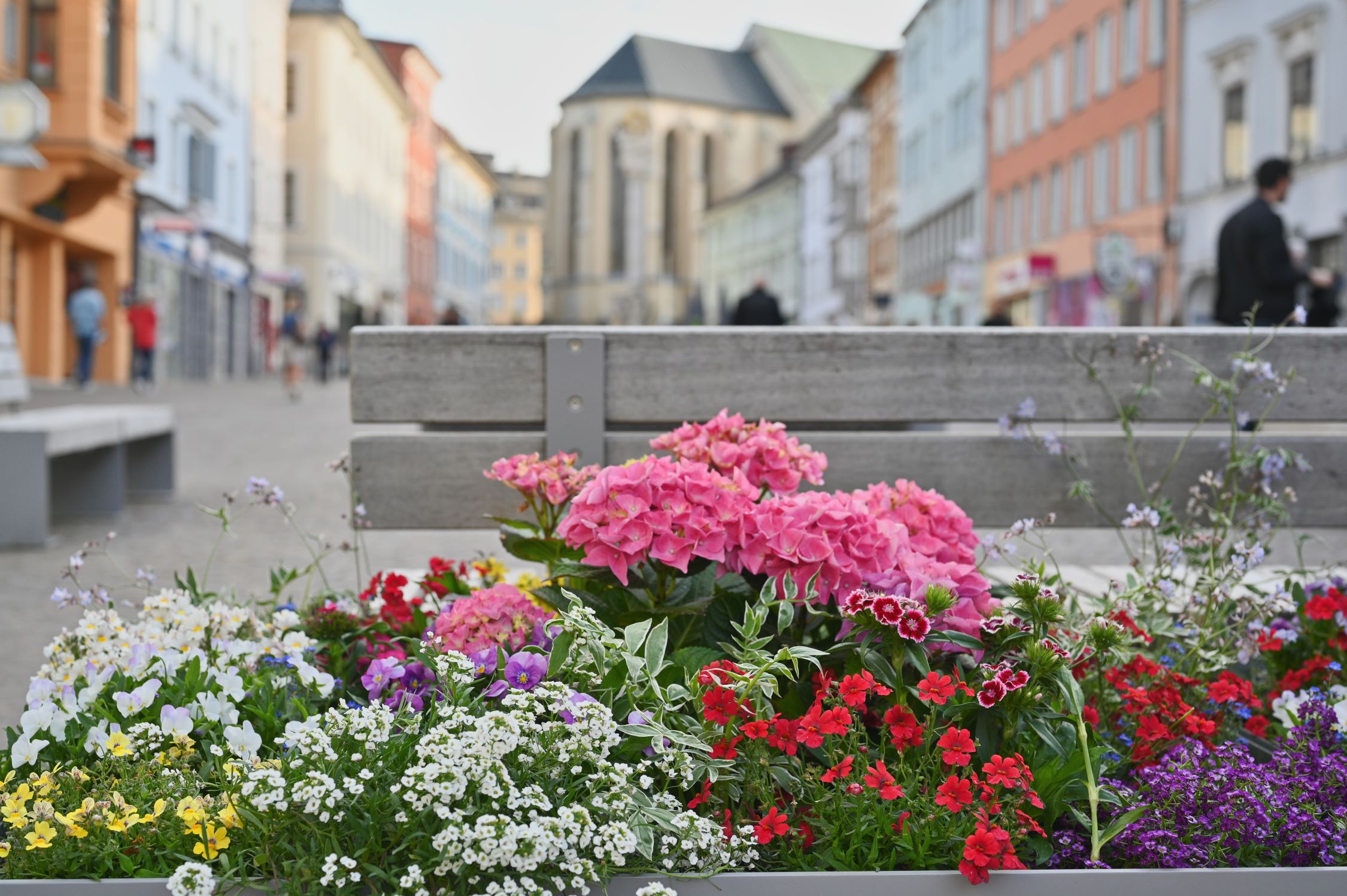Floral decoration in Villach's inner city