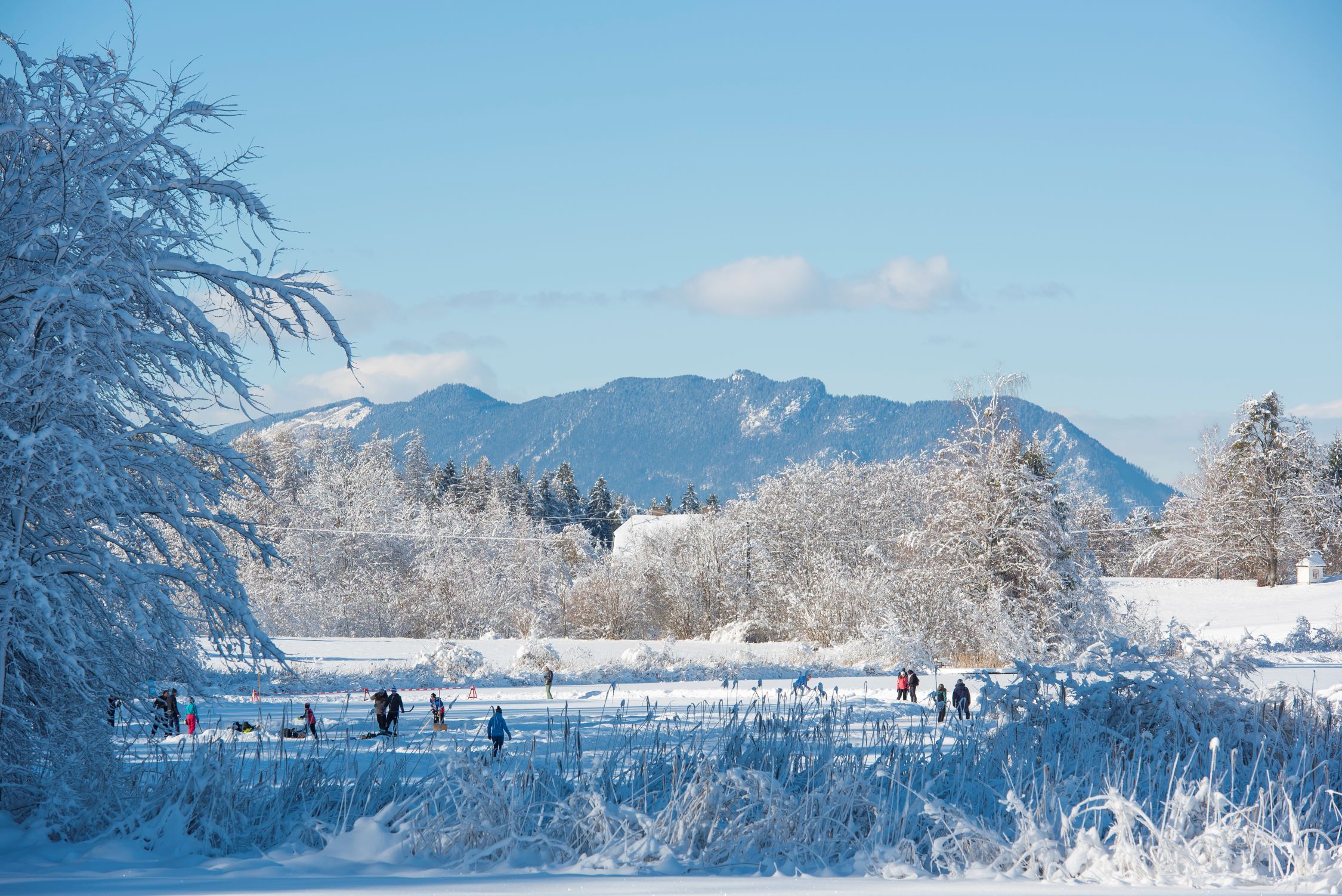 Eisläufer:innen am zugefrorenen Aichwaldsee